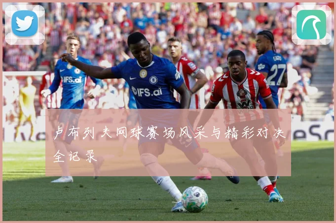 卢布列夫网球赛场风采与精彩对决全记录