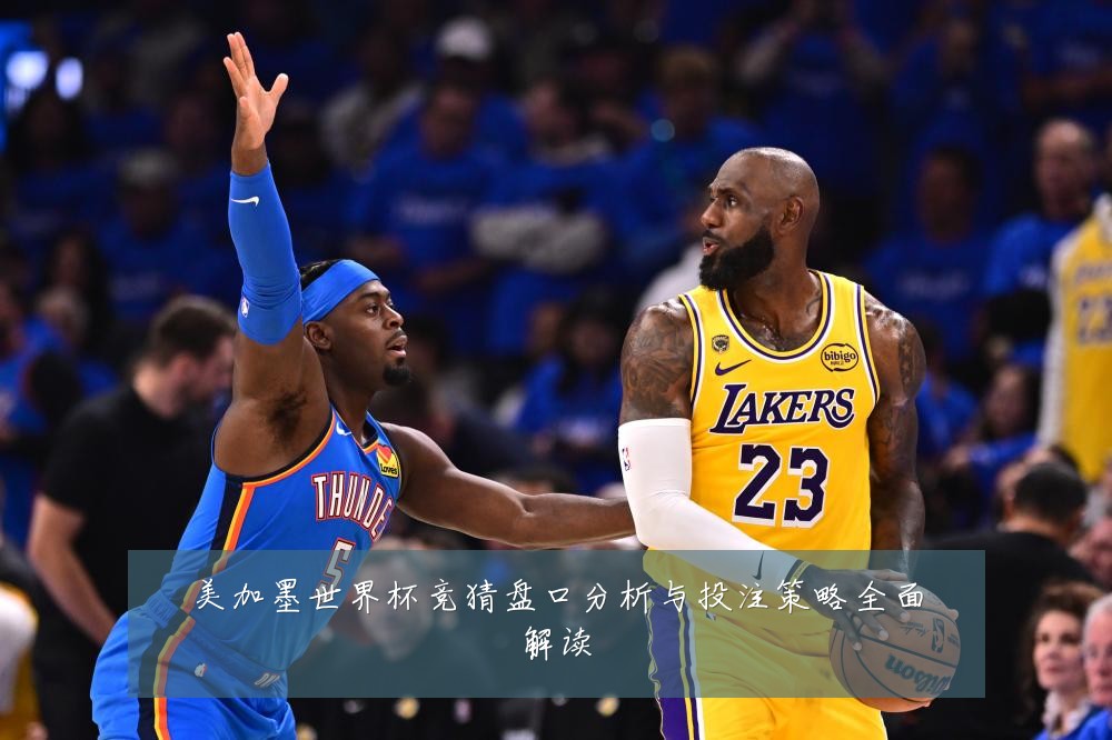 美加墨世界杯竞猜盘口分析与投注策略全面解读